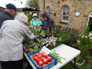 Plant stall