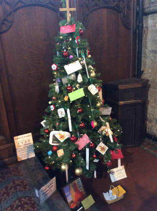 CAMC tree 2